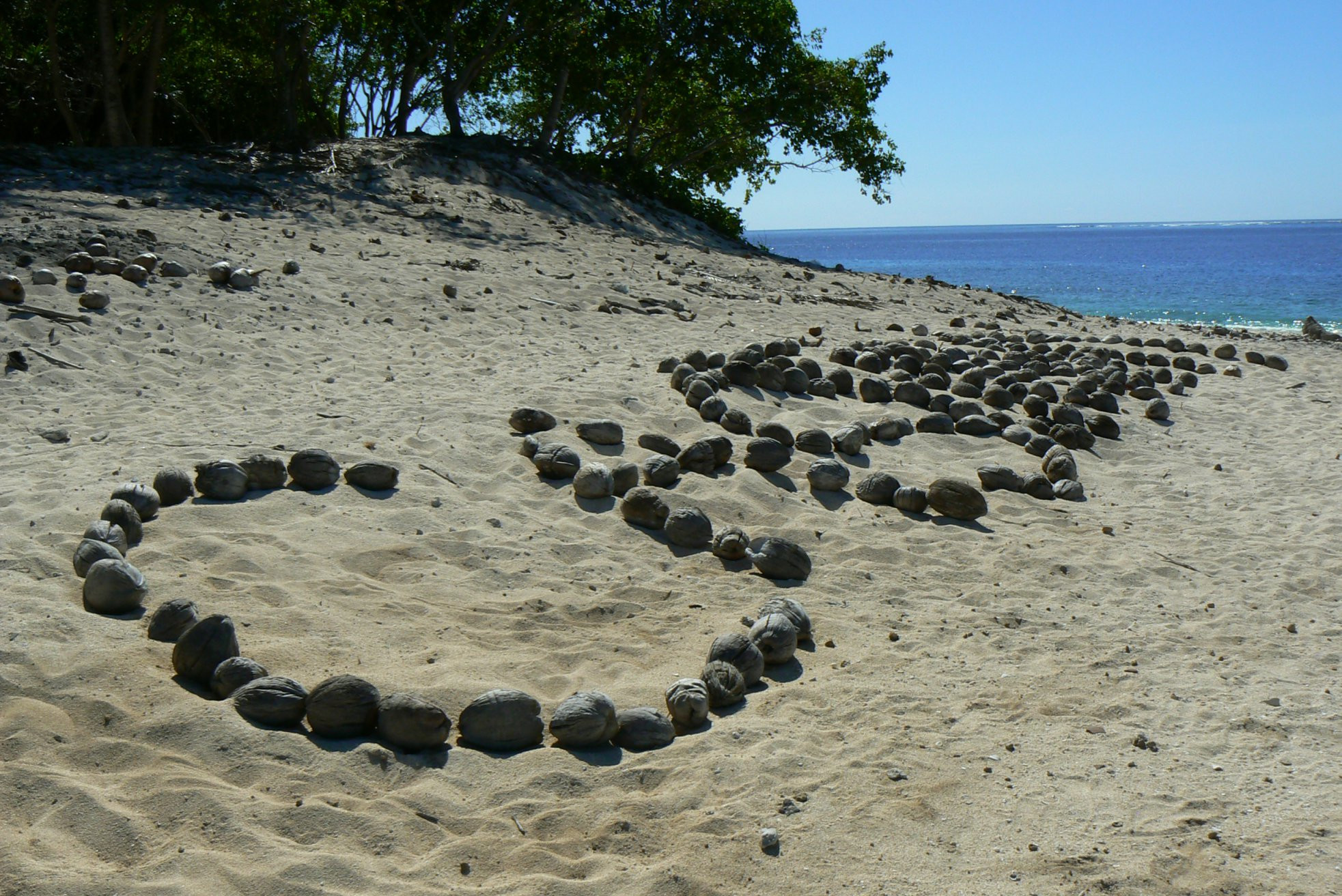 Монурики остров, Маманука группа островов, Фиджи, фото № 49044 – фотографии Фиджи