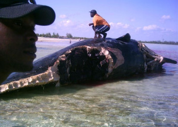 Люди на острове Андрос, Багамские острова – фотографии Багамских островов