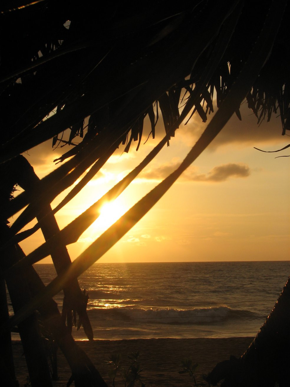 Калутара, Шри-Ланка, фото № 51247 – фотографии Шри-Ланки