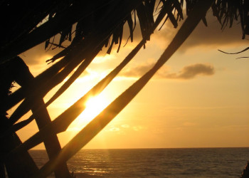 Калутара, Шри-Ланка, фото № 51247 – фотографии Шри-Ланки