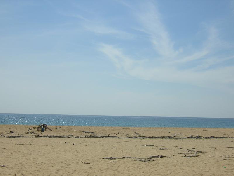 Баттикалоа, Шри-Ланка, фото № 50582 – фотографии Шри-Ланки