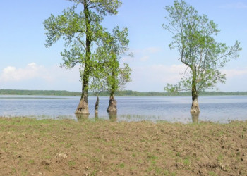 Озеро в Лоньско поле, Хорватия. Фото 3 – фотографии Хорватии