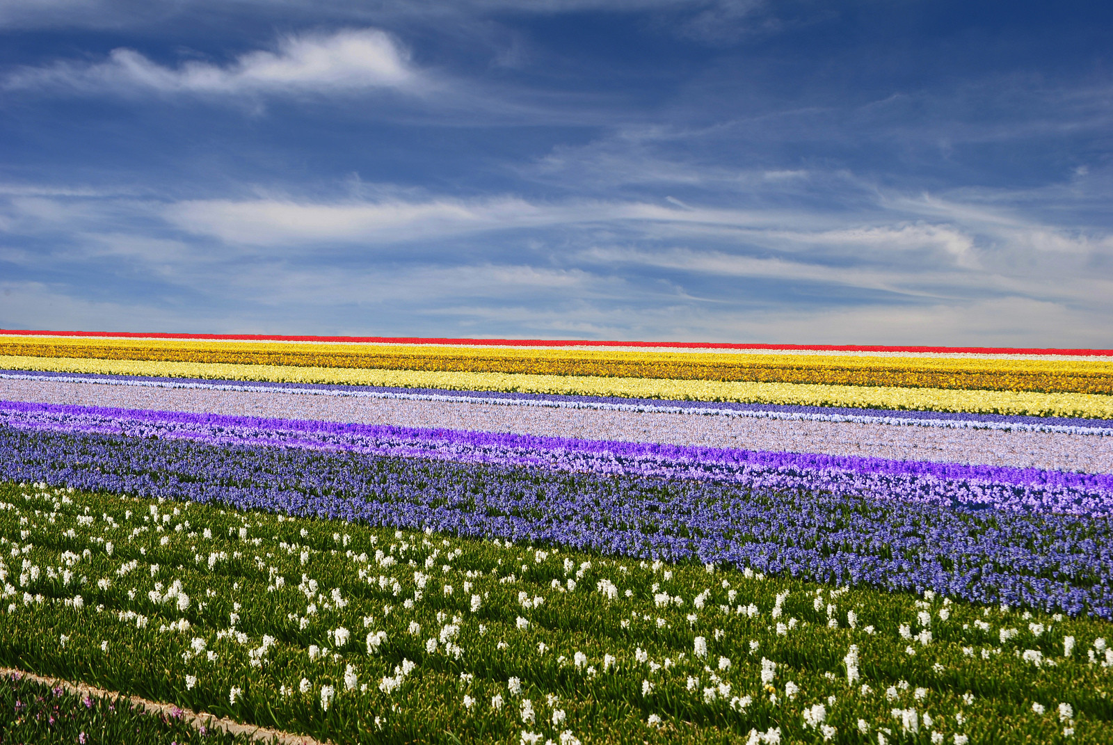 Путешествуем по Голландии. Фото 3 – фотографии Нидерландов
