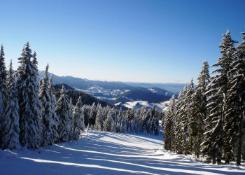 Природа в Пампорово, Болгария. Фото 22 – фотографии Болгарии