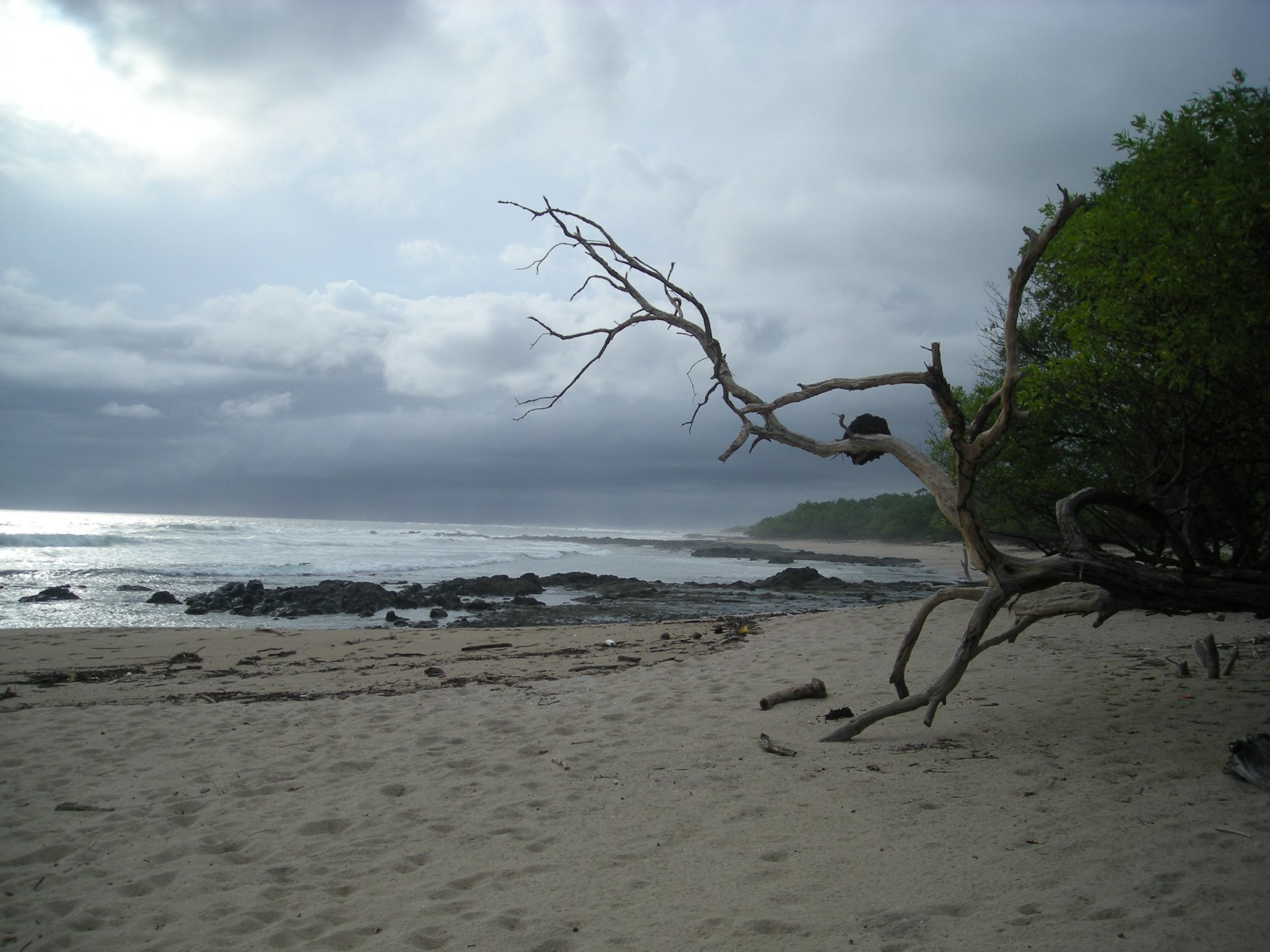 Плайя Нэгра, Гуанакасте провинция, Коста-Рика, фото № 39666 – фотографии Коста-Рики