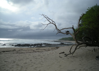 Плайя Нэгра, Гуанакасте провинция, Коста-Рика, фото № 39666 – фотографии Коста-Рики