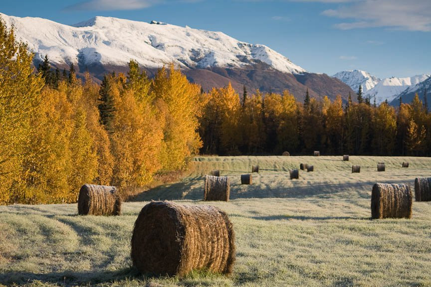 Аляска штат, США, фото № 67709 – фотографии США