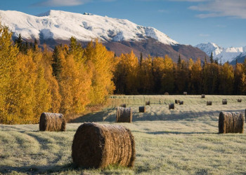 Аляска штат, США, фото № 67709 – фотографии США