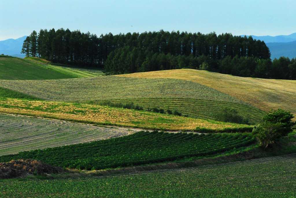 Хоккайдо остров, Хоккайдо регион, Япония, фото № 72738 – фотографии Японии