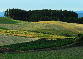 Хоккайдо остров, Хоккайдо регион, Япония, фото № 72738 – фотографии Японии