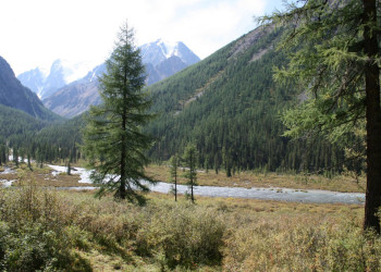 Природа Алтая. Фото 1 – фотографии России