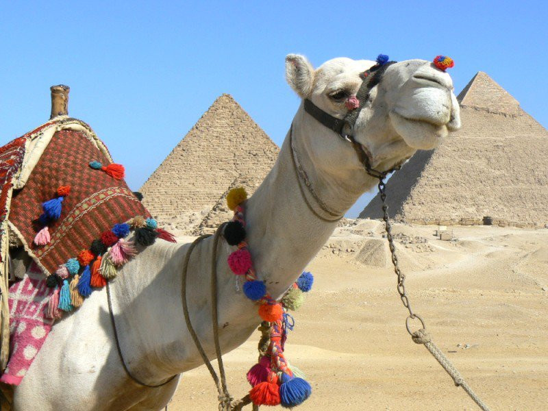 Каир, Египет, фото № 35115 – фотографии Египта