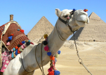 Каир, Египет, фото № 35115 – фотографии Египта