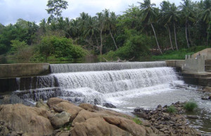 Курунегала, Шри-Ланка, фото № 51695 – фотографии Шри-Ланки
