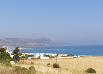 Полис, Кипр, фото № 38739 – фотографии Кипра