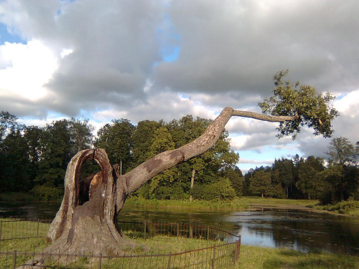 Озеро в Павловске, Россия. Фото 3 – фотографии России