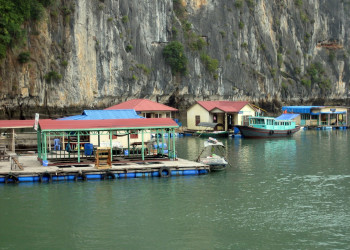 Деревня в заливе Халонг – фотографии Вьетнама