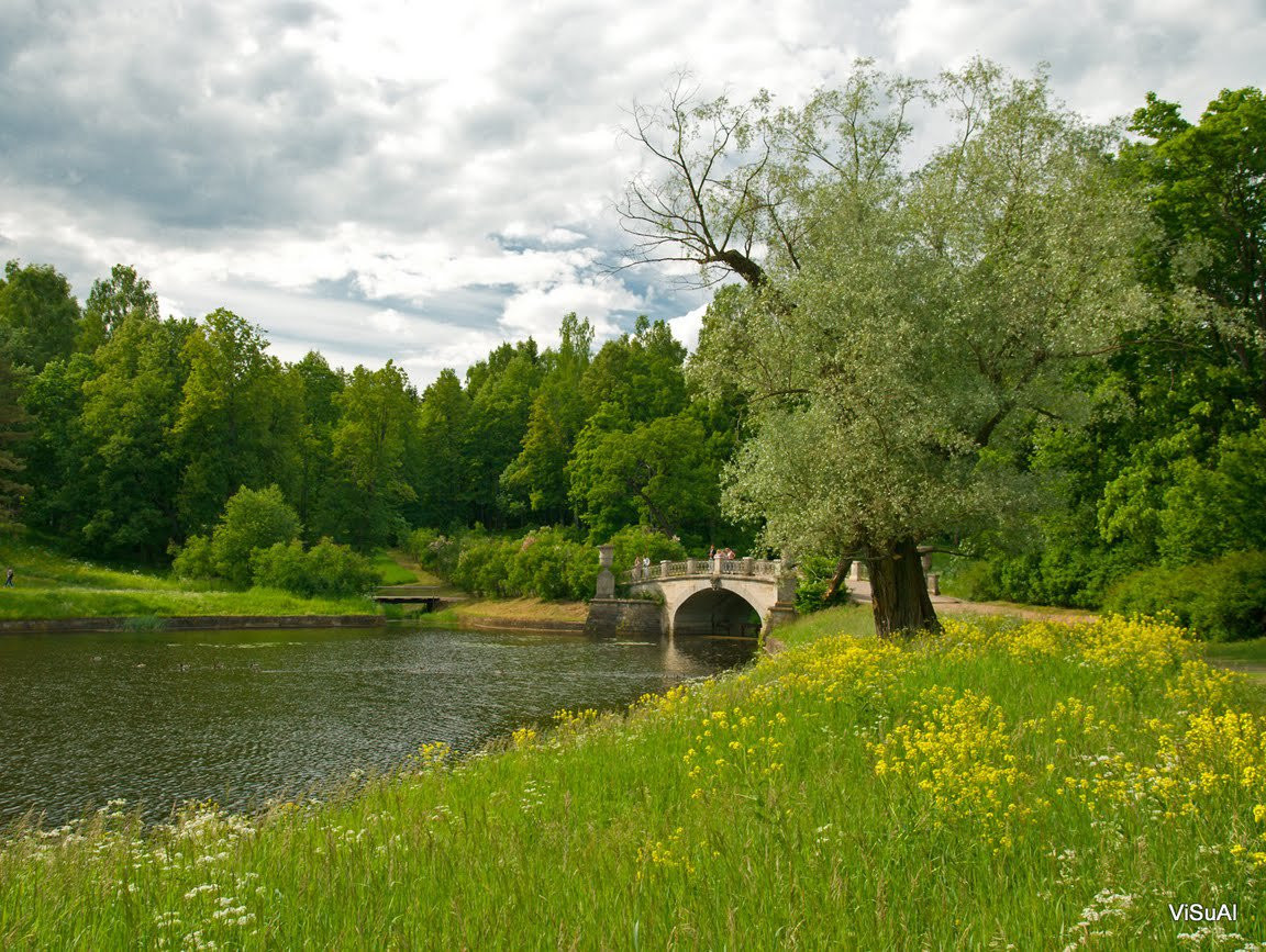 Природа в Павловске, Россия. Фото 1 – фотографии России