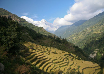 Аннапурна заповедник, Непал, фото № 78896 – фотографии Непала