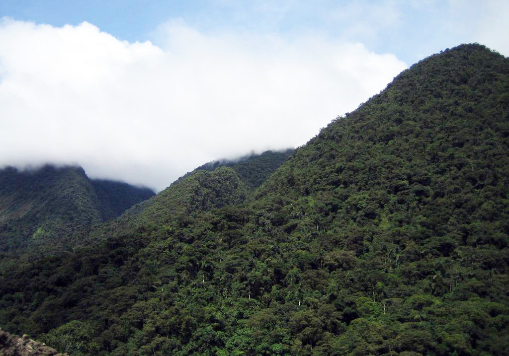 Национальный парк Карраско (Carrasco National Park) – фотографии Боливии