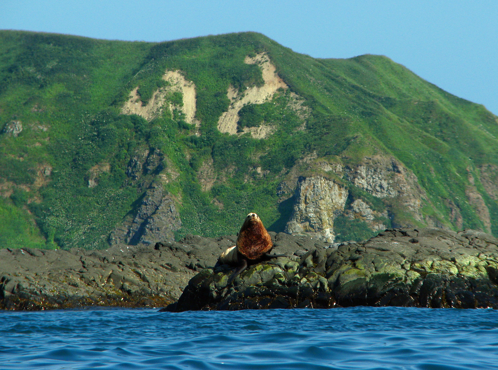 Полуостров Камчатка. Фото 2 – фотографии России