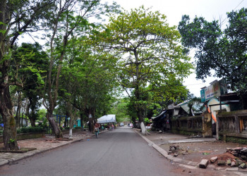 Тенистые улочки Хюэ – фотографии Вьетнама