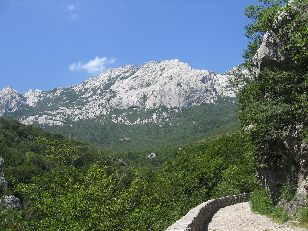 Природа в Пакленица, Хорватия. Фото 13 – фотографии Хорватии