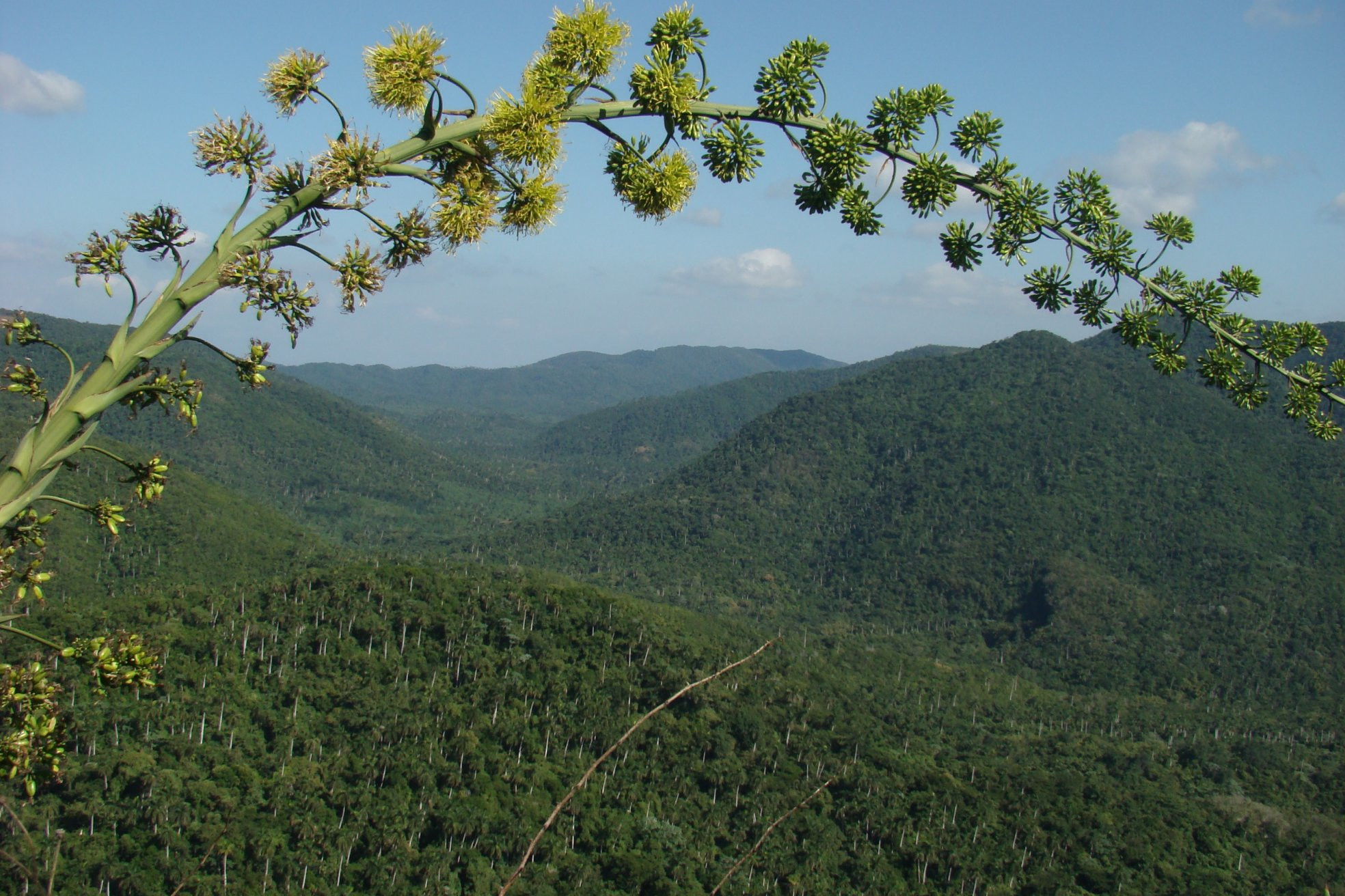 Горы в Пинар дель Рио провинция, Куба. Фото 11 – фотографии Кубы