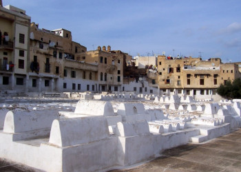 Фес, Марокко, фото № 8514 – фотографии Марокко