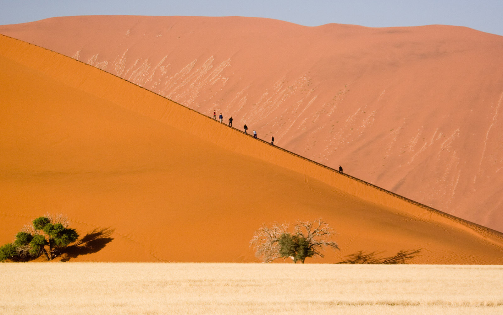 Пустыня Намиб. Фото 12 – фотографии Намибии