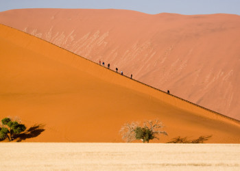 Пустыня Намиб. Фото 12 – фотографии Намибии