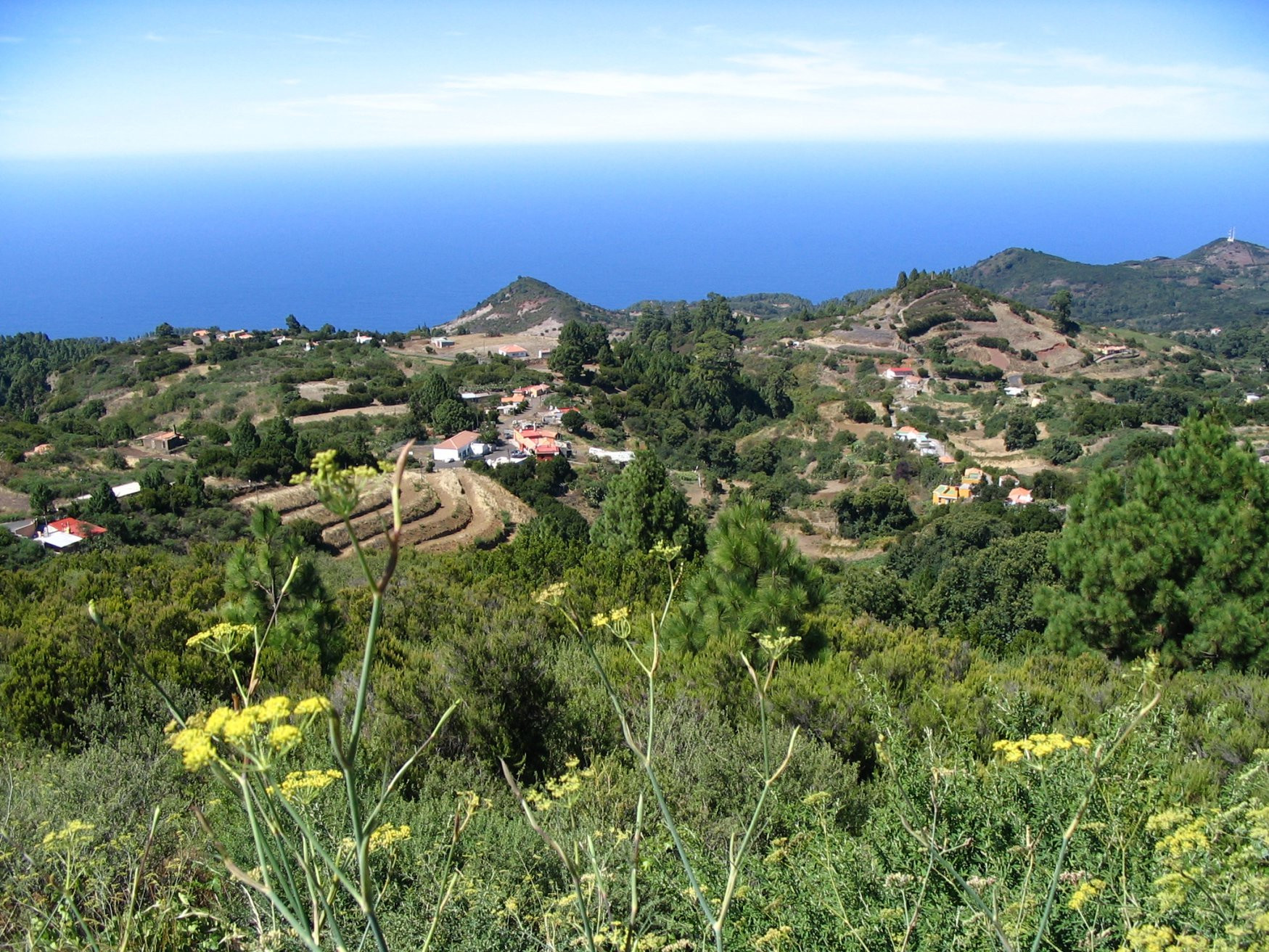 Пунтагорда, Ла-Пальма остров, Канарские острова, фото № 31984 – фотографии Канарских островов