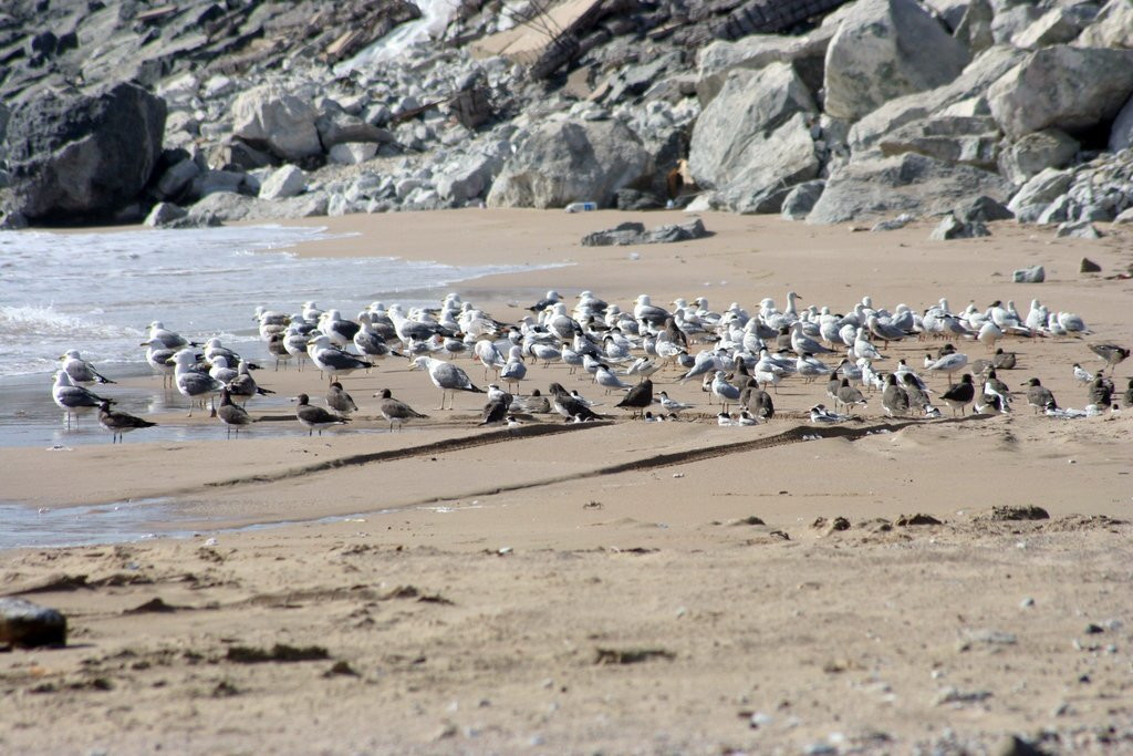 Мусандам, Оман, фото № 78094 – фотографии Омана