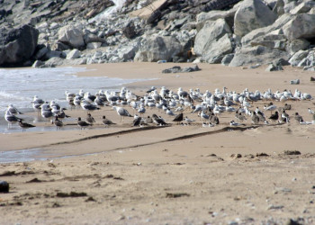 Мусандам, Оман, фото № 78094 – фотографии Омана