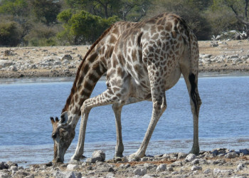 Намибия, фото № 5592 – фотографии Намибии