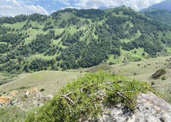 Поездка на перевал Актопрак, июнь 2022 года – фотографии России