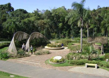 Ботанический сад Куритибы (Jardim Botanico de Curitiba) – фотографии Бразилии
