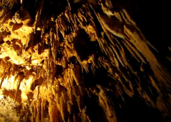 Великий сталактитовый орган, Вирджиния, США – фотографии США