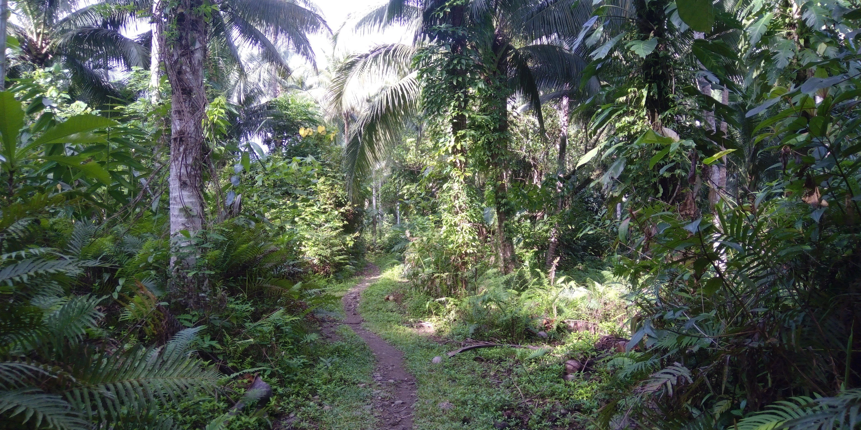 *** – фотографии