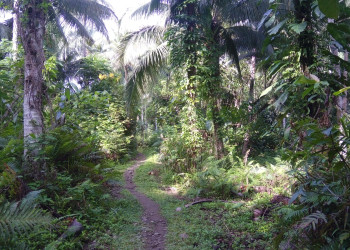 *** – фотографии