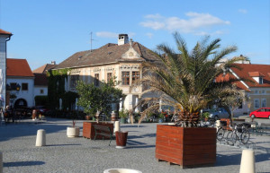 Руст, Бургенланд, Австрия, фото № 98569 – фотографии Австрии