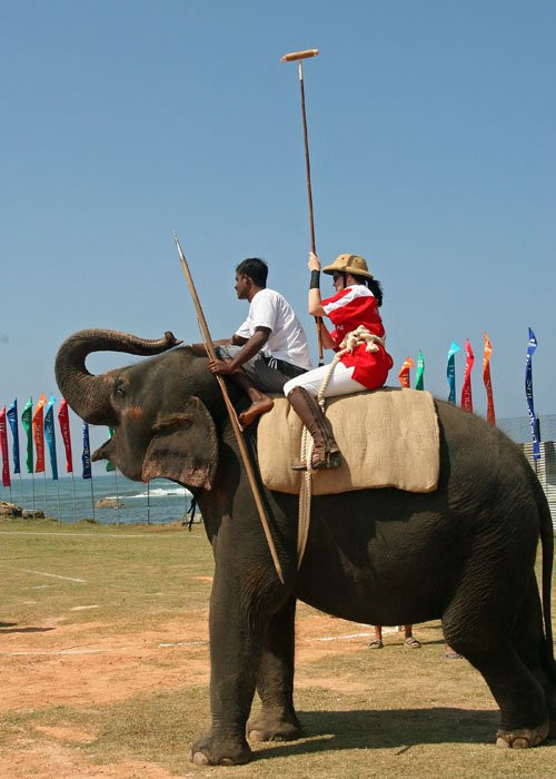 Галле, Шри-Ланка, фото № 50918 – фотографии Шри-Ланки