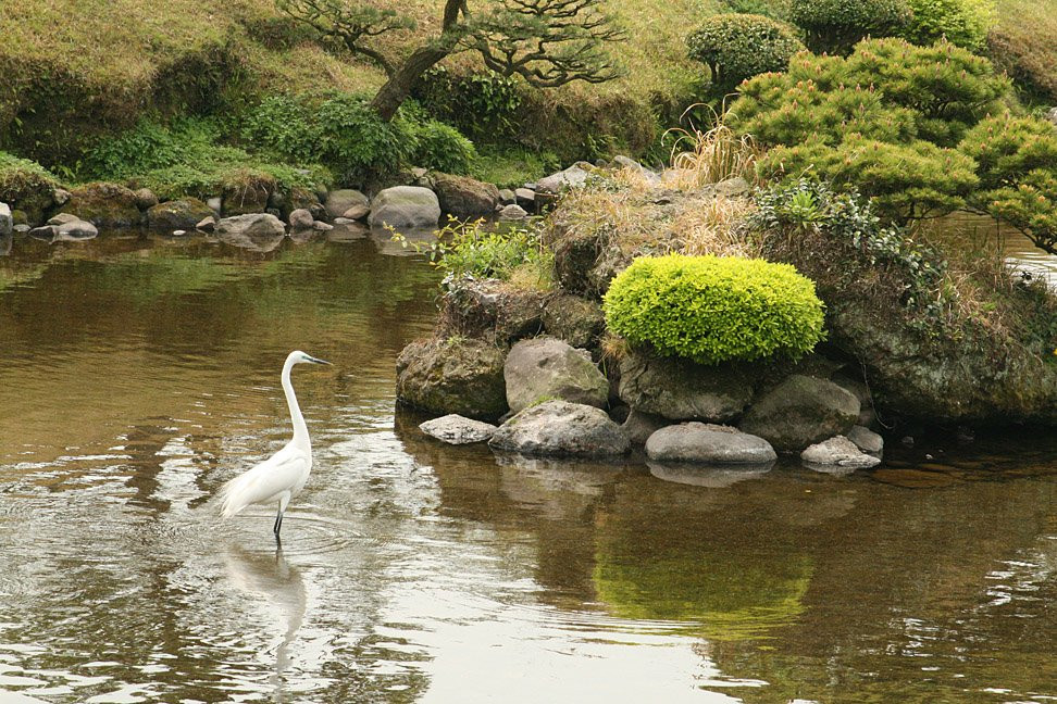Kumamoto – фотографии Японии