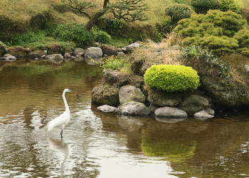 Kumamoto – фотографии Японии