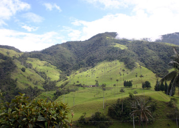 Долина Кокора в Колумбии. Фото 2 – фотографии Колумбии