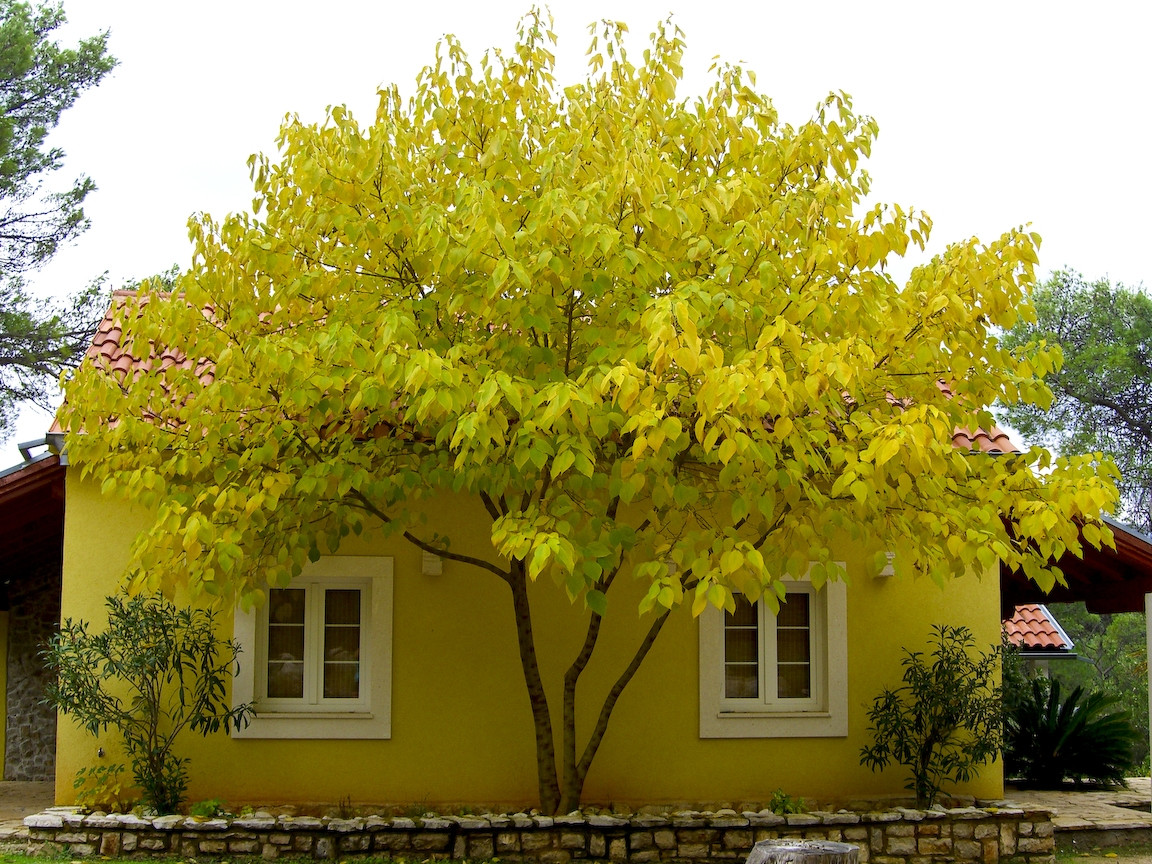 Осень в Врбоска, Хорватия – фотографии Хорватии