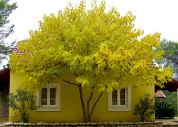 Осень в Врбоска, Хорватия – фотографии Хорватии