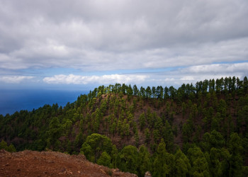 Ла-Пальма остров, Канарские острова, фото № 32065 – фотографии Канарских островов