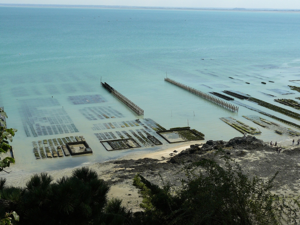 Берега в Канкале, Франция – фотографии Франции