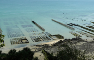 Берега в Канкале, Франция – фотографии Франции